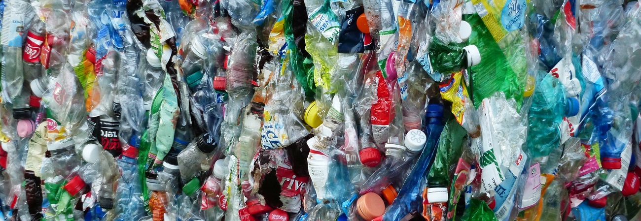 Bandeau témoignage Charles Bouchard