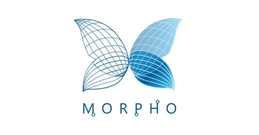 morpho