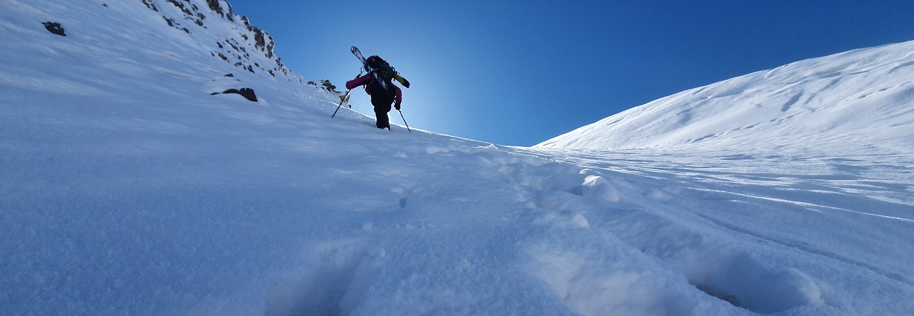 Céline Gauci image bandeau