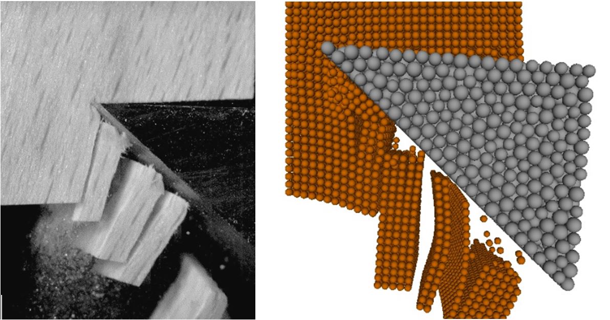 Basics in wood machining: forces, energy and physical phenomena