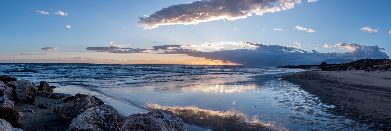 Bandeau soutenance thèse Sophe Carli-Omont