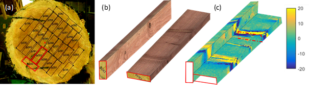 Vers un classement efficace pour un utilisation optimal des ressources forestières