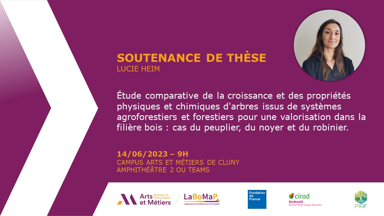Soutenance de thèse de Lucie HEIM