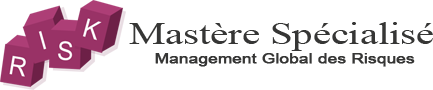Logo Mastère Spécialisé®  « Manager  des Risques » Management Global des Risques