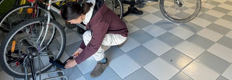 Les vélos d'Ecogadz 