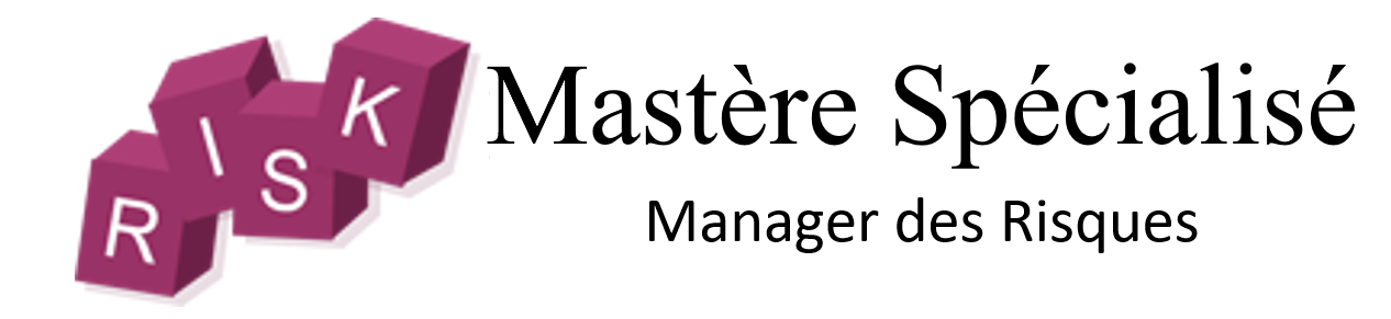 Logo-Manager-des-Risques