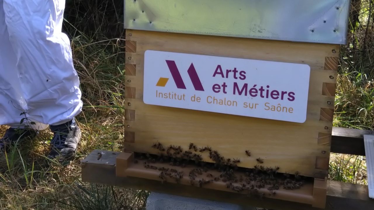 Deux ruches sont installées sur le campus de Cluny, cependant elles ne produisent pas de miel car les sont utilisées par nos étudiants afin de tester leur prototype de traitement thermique du parasite varroa développé en projet pédagogique.   L’objectif est d'éliminer l'utilisation de produits médicamenteux et de faciliter les manipulations pour ceux ayant optés pour un traitement bio.