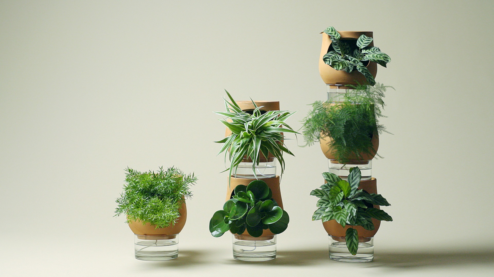 Les Ayos LUO Start up arts et metiers angers