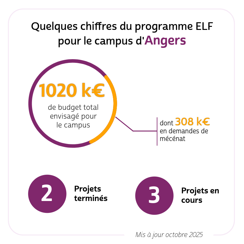chiffre ELF Angers