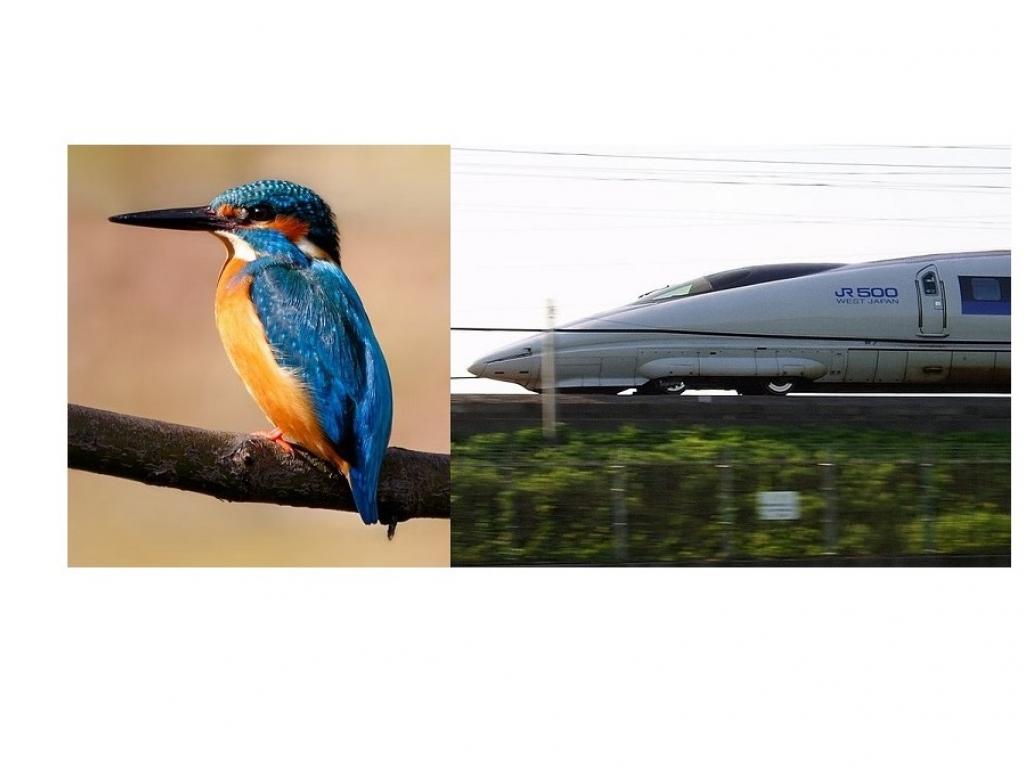 Biomimétisme shinkansen