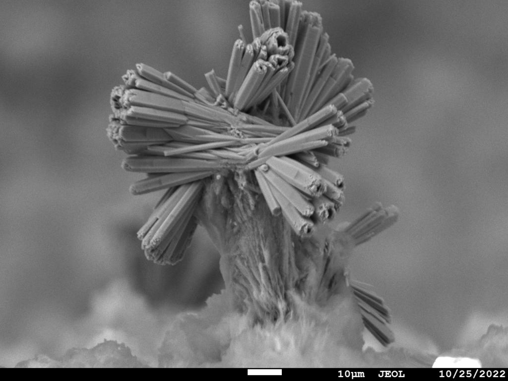 Feu d'artifice cristallin