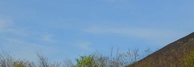 Mastère Spécialisé® IRVE