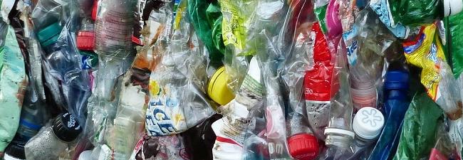 Bandeau témoignage Charles Bouchard