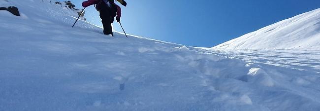 Céline Gauci image bandeau