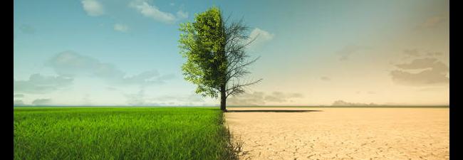 CLIMAT ARTS ET METIERS ANGERS