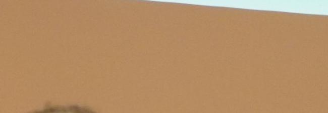 Armand Ferveur expands his AI services business