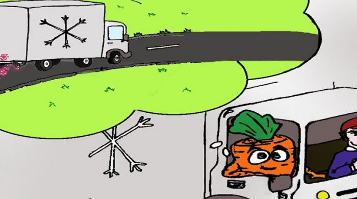 Témoignage Charlotte Heslouin doctorat Bandeau