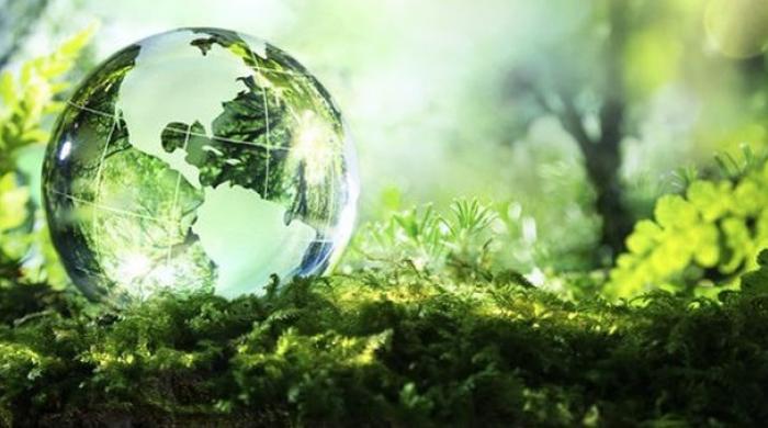 Semaine du DD Bordeaux