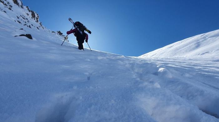 Céline Gauci image bandeau