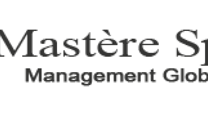 Logo Mastère Spécialisé®  « Manager  des Risques » Management Global des Risques