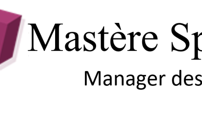 Logo-Manager-des-Risques