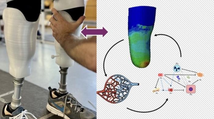Les retombées de TWIN-IT concernent les prothèses, les orthèses, les exosquelettes ou encore les fauteuils roulants.